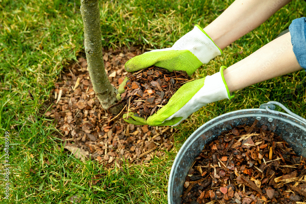 mulch delivery company cincinnati